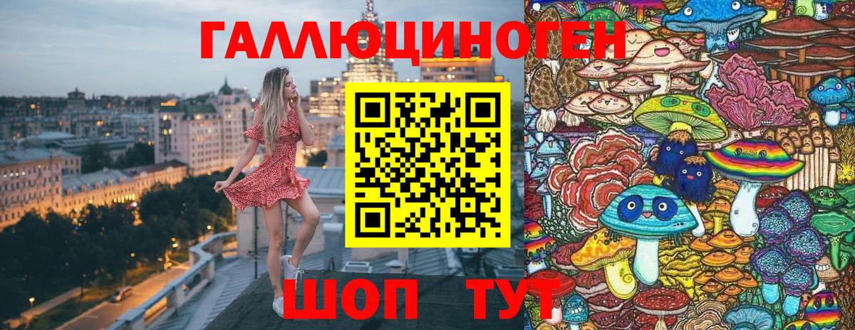 Галлюциногенные грибы Cubensis Гусев